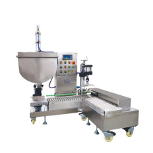 GCJ01-06-IBT Semi Automatic Weighing Packaging Machine
